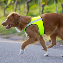 Visupart Hundebody Standard Signalgelb -Trixi Haustier Geschaft weste standard visupart hundebody hundebild 4598099mtZiIhqtauHzCt