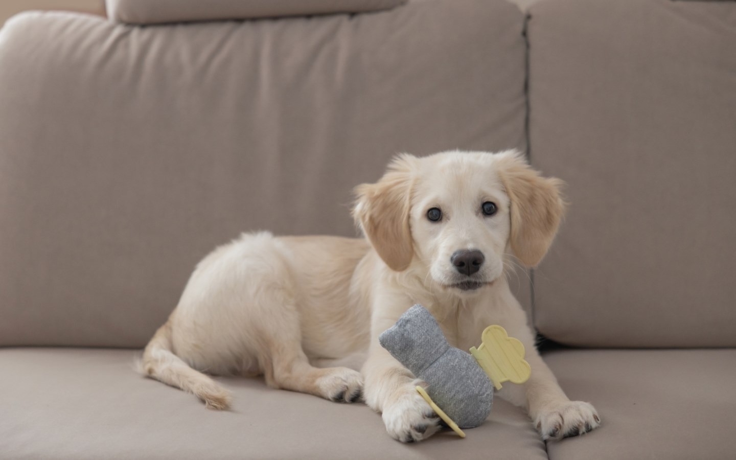 Trixi Haustier Geschaft -Trixi Haustier Geschaft 203753